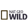 Nat Geo Wild смотреть прямой эфир